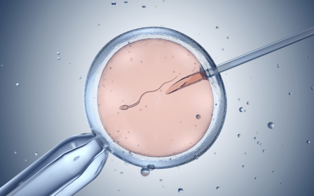 A syringe injecting a sperm cell into an egg during an In Vitro Fertilization procedure.
